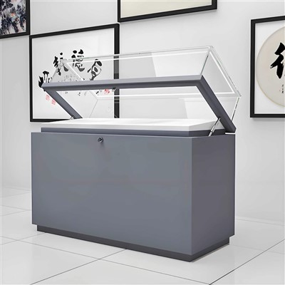Kes Pameran Sementara Muzium
